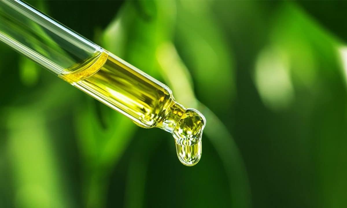 A CBD vásárlói útmutatója