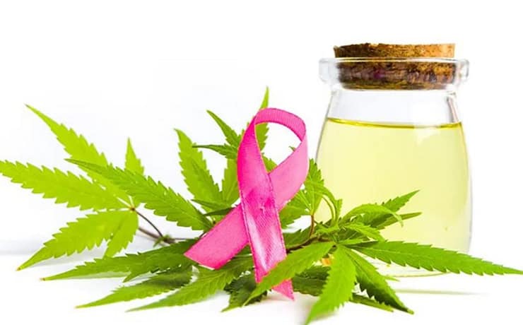 CBD a rák ellen: Minden, amit tudni kell