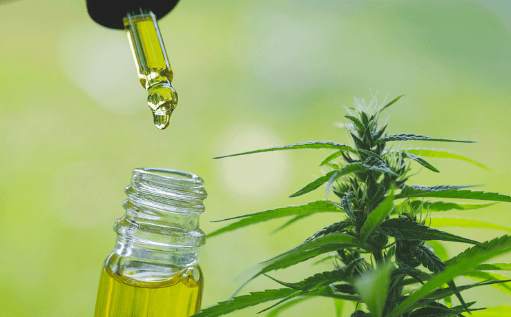 Mi a különbség a teljes spektrumú CBD és a széles spektrumú CBD között