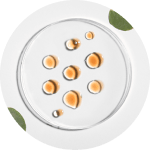 Medium Chained Triglycerids