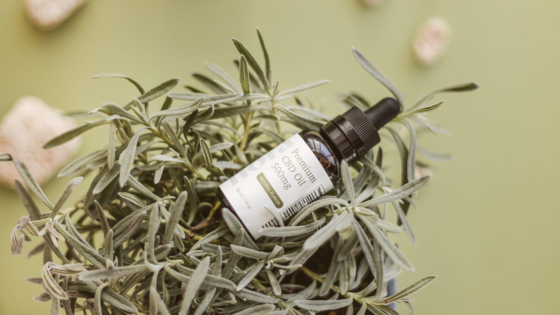 Hogyan lép a CBD kapcsolatba az ECS-szel?