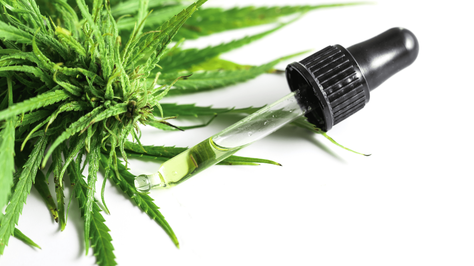 A CBD olaj használata