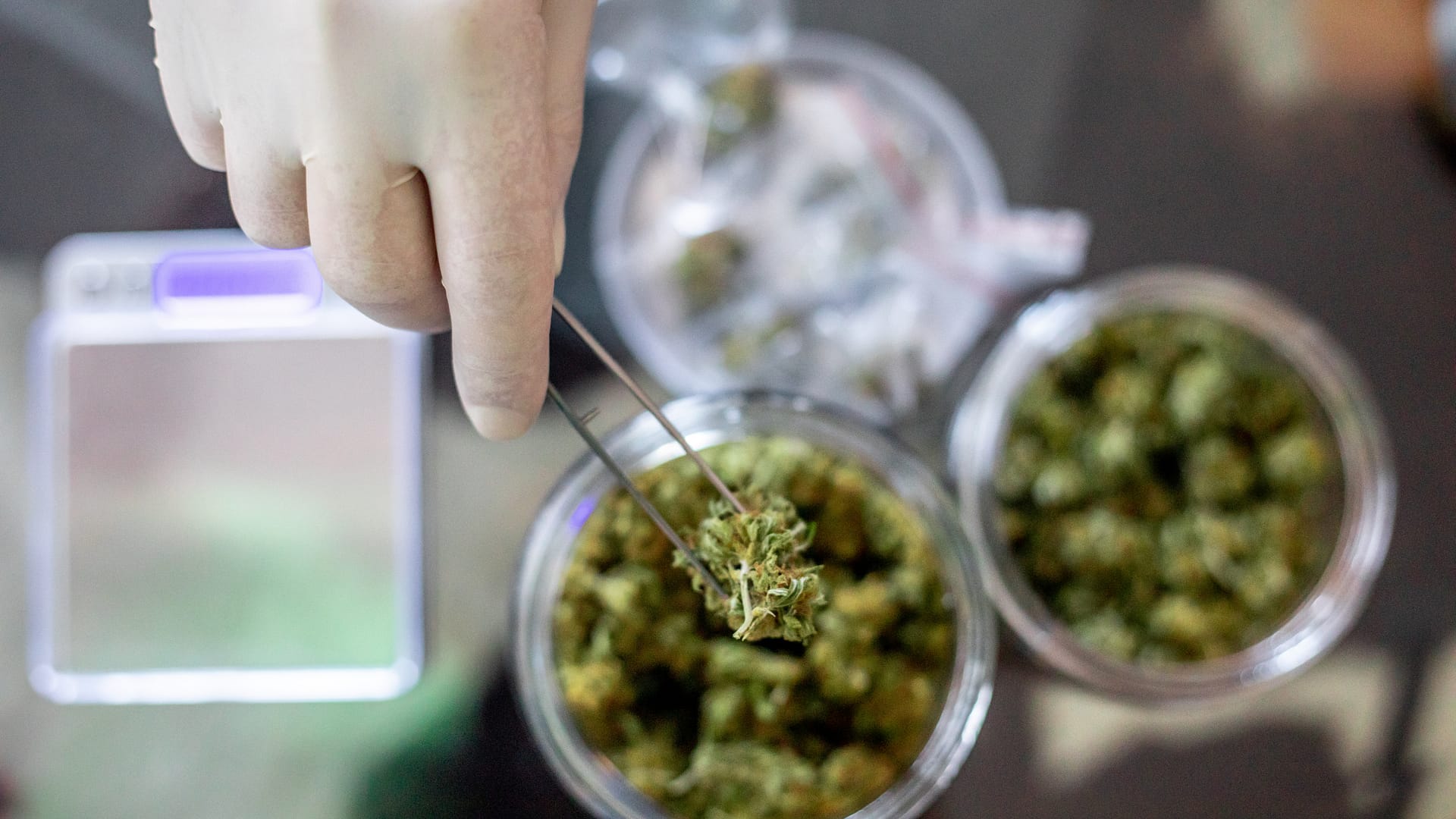 Mit mondanak a kutatások