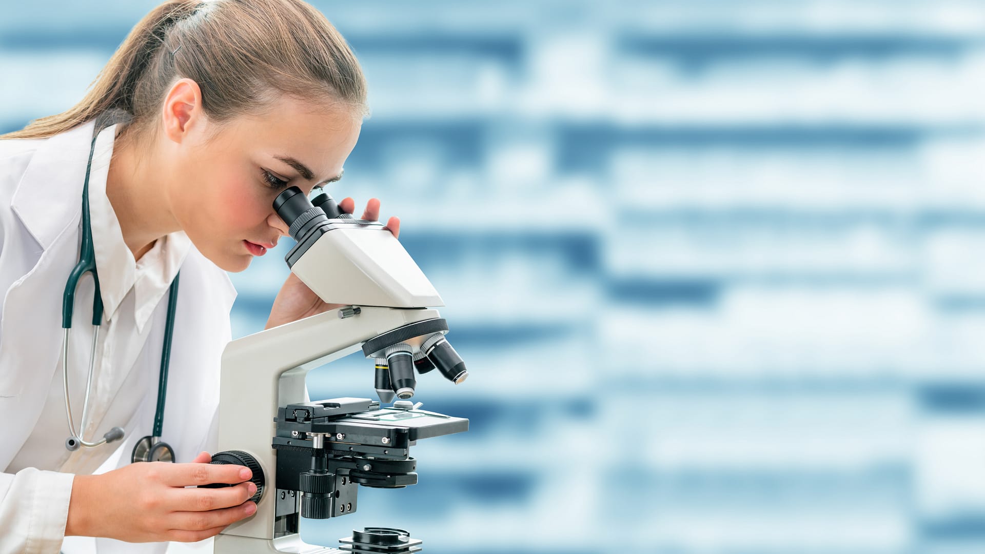 Mit mutatnak a tanulmányok