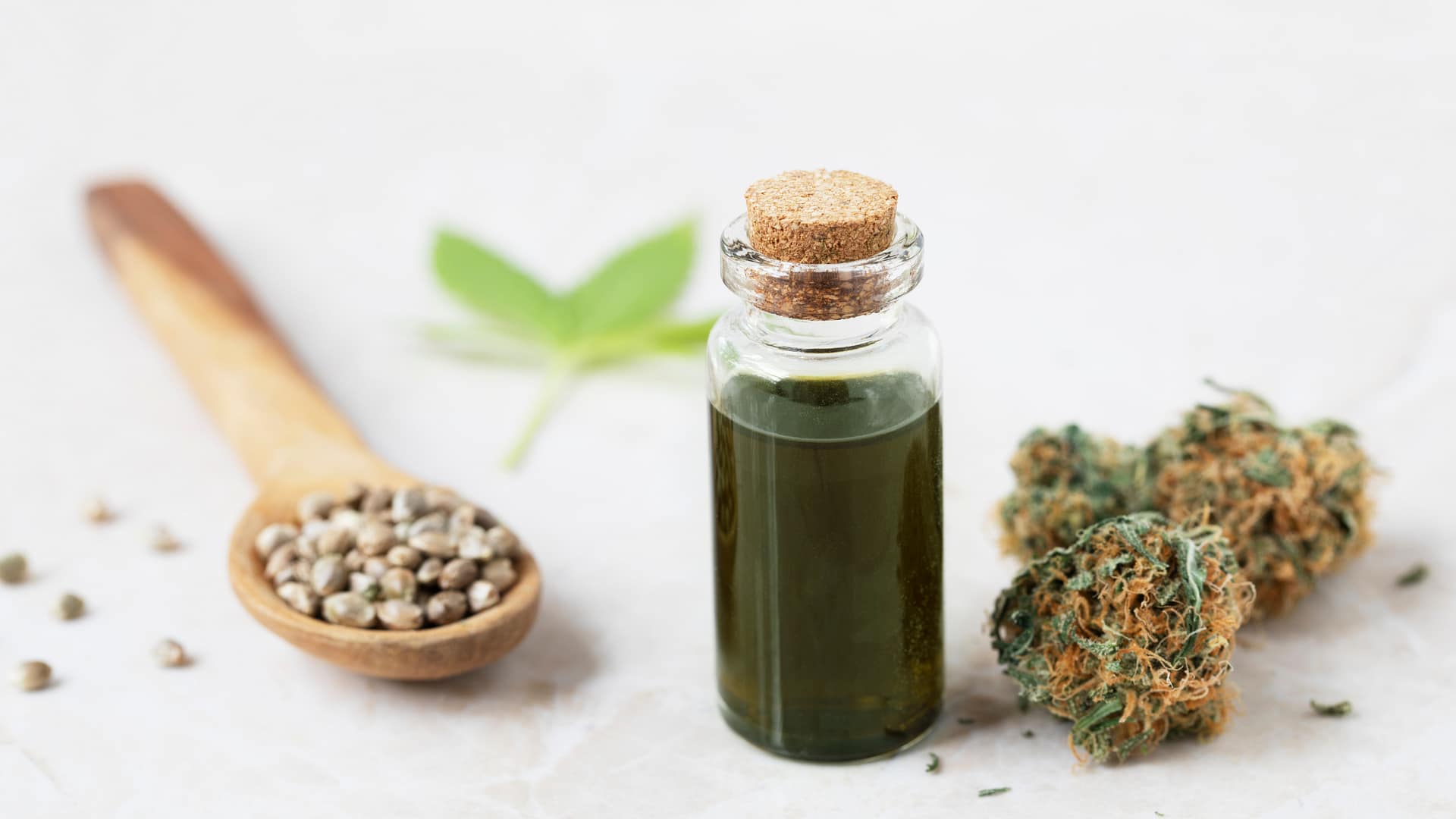 A CBD termékek típusai