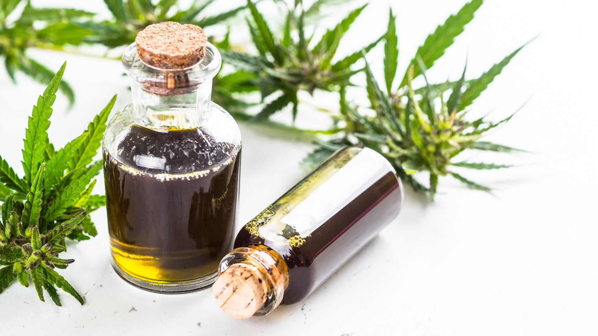 Kockázatok és figyelmeztetések