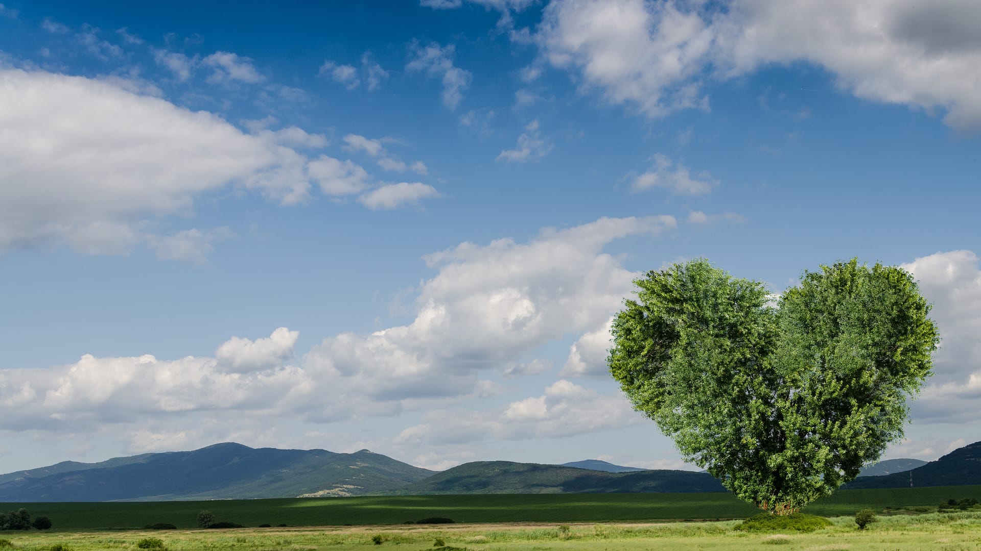 A légzőrendszeri depresszió kezelése