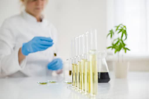 How Is Cbd Oil Sourced